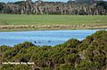 King Island Lake Flanagan