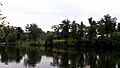 Lake Wedington 002