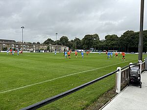 Little Wembley - Nelson