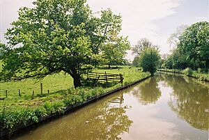 Llangollen Canal south of Springhill Bridge - geograph.org.uk - 129784