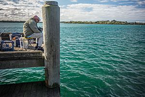 Luderick fishing from a wharf on the Hastings River, Port Macquarie, New South Wales, Australia 03