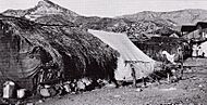 Makeshift Dwellings Helvetia Arizona 1902