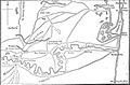 Map of Resaca de la Palma relative to Palo Alto and Fort Brown