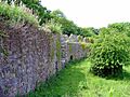 Medieval West Wall of the Cathedral Close - geograph.org.uk - 827227
