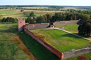 Medininkų pilis iš dangaus - www.aerialmedia.tv 02