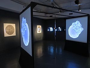 Morphogenic digital art exhibition by Andy Lomas at Watermans Arts Centre, London