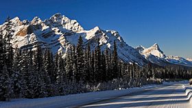 Mt. Patterson (left) from the Icefields Parkway