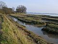 Mudflats at River Crouch estuary - geograph.org.uk - 395918