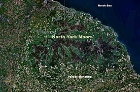 NYMoors NASA.jpg