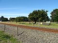 Newman railway station 02