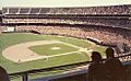 Oakland Coliseum diamond 1981