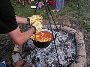 Paprikas krumpli in bogracs