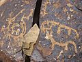Petroglyphs, Ladakh, NW India
