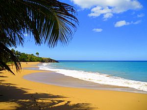 Plage de la Grande Anse à Deshaies 2