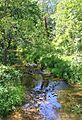 Plum Creek looking downstream