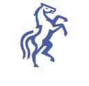 Politehnica Iasi logo 2023