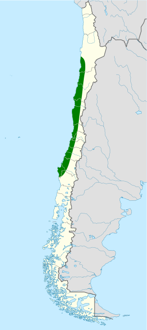 Pseudasthenes humicola map.svg