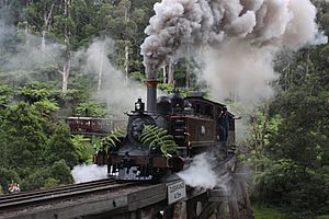 Puffing Billy 7A crosses the Monbulk trestle bridge with the first passenger service in 8 months after the COVID-19 Pandemic