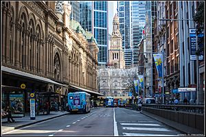 Queen Victoria Building and Sydney Town Hall