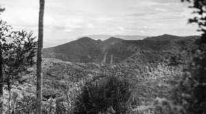 Queensland State Archives 416 Looking from Bithongabel Lookout Lamington National Park towards the McPherson Range Beaudesert Shire September 1933