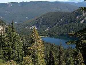 RevettLake