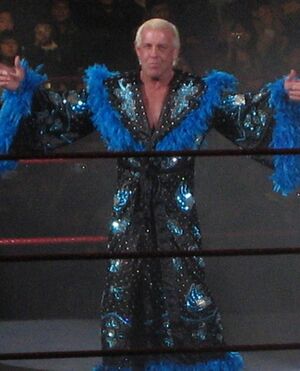 Ric Flair in Seoul, South Korea