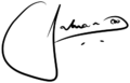 Salman Khan signature