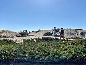 Sand dunes at Playa Del Rey, California