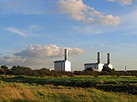 Seabank power station.jpg