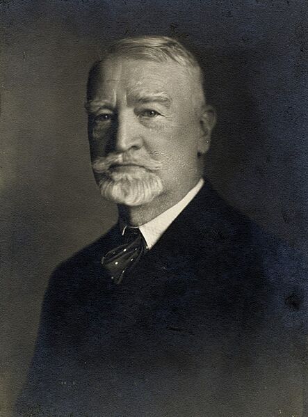 Simonyi-Semadam Sándor portré