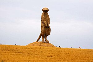 Straw built meercat on guard (geograph 2170210)