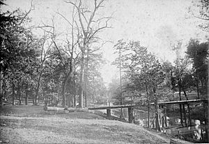 Sunflower River Bridge, Clarksdale, Mississippi (1890)