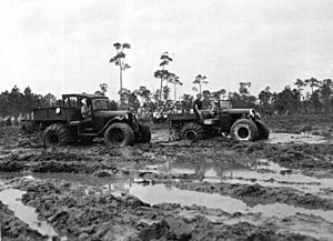 Swamp Buggy Day races- Naples, Florida (3324165294)
