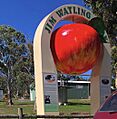 Tallong Big Apple