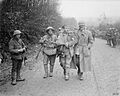 The Battle of the Somme, July-november 1916 Q4505