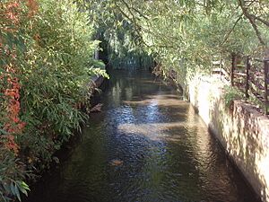 The Bourne - geograph.org.uk - 979732