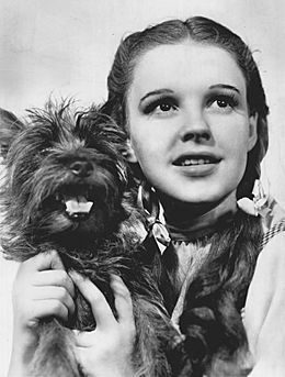 The Wizard of Oz Judy Garland Terry 1939.jpg