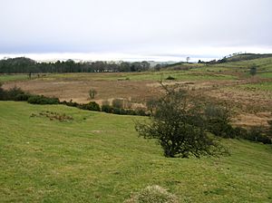 The site of the old Boghall Loch.JPG