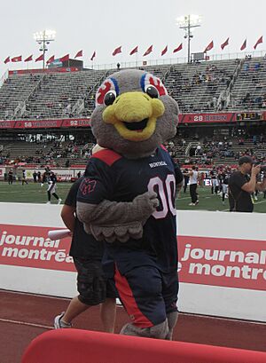 Touché - September 2025