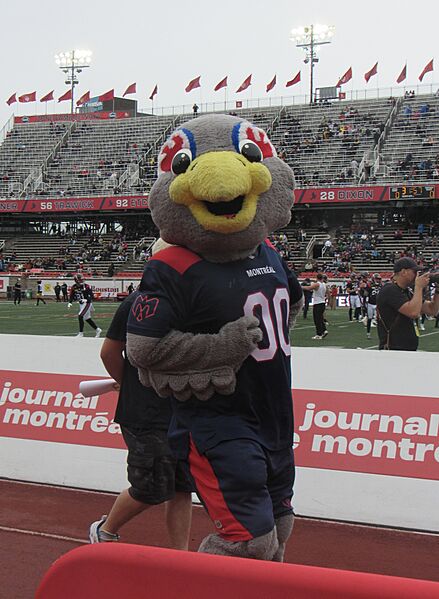 Touché - September 2025