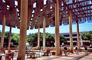 University of Texas at San Antonio commons