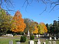 Vale in Fall