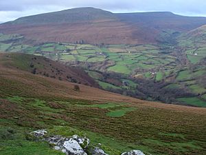 View to the west from Blaen-yr-henbant - geograph.org.uk - 293127