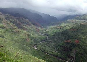 Waimea River, Hawaii (5535233654)