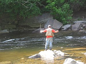 Worlds End State Park Angler
