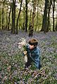 Young boy picking hyacinths in Normandy - 1993