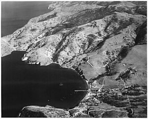 (Aerial view of Naval-Coast Guard base at Isthmus of Catalina showing a two-masted schooner in the bay used for... - NARA - 295506