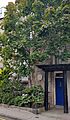50 Skene Terrace, Aberdeen
