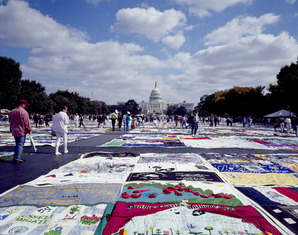 AIDS quilt, Washington, D.C LCCN2011631696