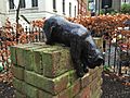 A Bloomsbury cat.jpg